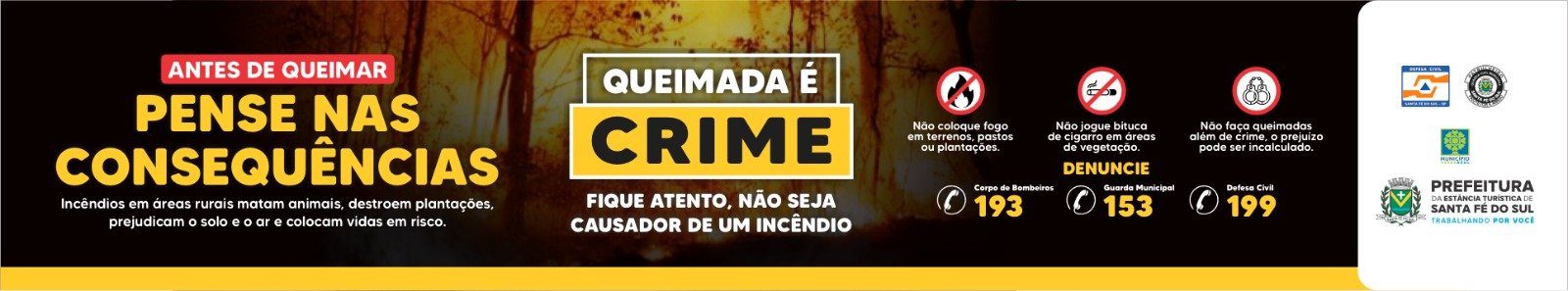 Publicidade