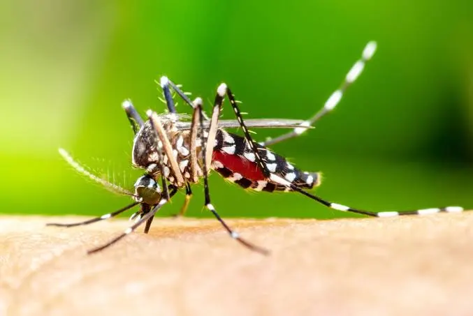 Campanha de vacinação: Santa Fé do Sul vacina crianças e adolescentes contra a dengue